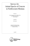 Book preview: Surveys for animal species of concern in northwestern Montana (Volume 2005) by P.(Paul) Hendricks