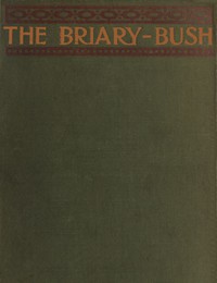 Cover of the book The briary-bush, a novel by Floyd Dell