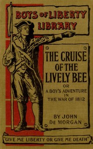 Cover of the book The Cruise of the Lively Bee by John De Morgan
