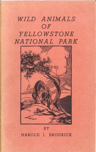cover for book Wild Animals of Yellowstone National Park