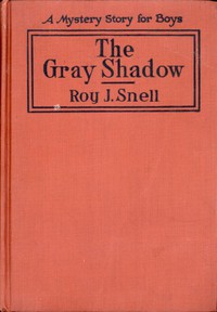 cover for book The Gray Shadow