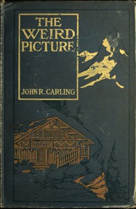 cover for book The Weird Picture