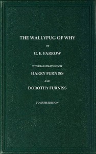 cover for book The Wallypug of Why