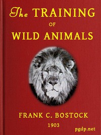 cover for book The Training of Wild Animals
