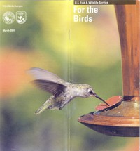cover for book For the Birds
