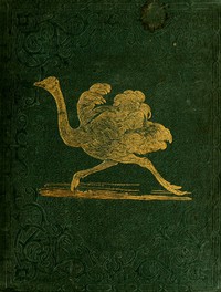 Cover of the book Tales About Birds, Illustrative of Their Nature, Habits, and Instincts by Thomas Bingley