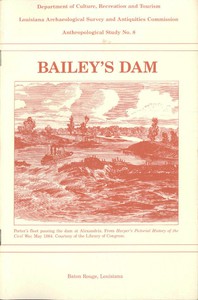 cover for book Bailey's Dam