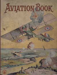 cover for book Aviation Book