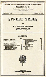 cover for book Street Trees