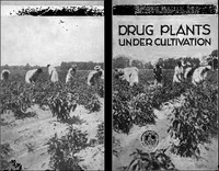 cover for book Drug Plants Under Cultivation