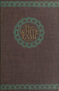 cover for book The White Kami: A Novel