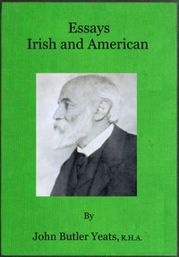 cover for book Essays Irish and American