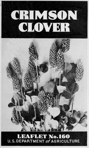 cover for book Crimson Clover [1938]