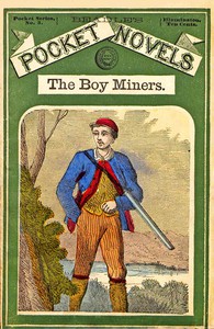 cover for book The Boy Miners; Or, The Enchanted Island, A Tale of the Yellowstone Country
