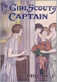 cover for book The Girl Scouts' Captain