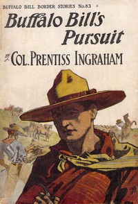 cover for book Buffalo Bill's Pursuit; Or, The Heavy Hand of Justice
