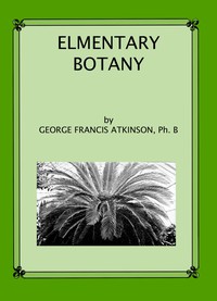 cover for book Elementary Botany