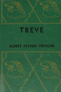 cover for book Treve