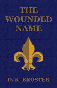 cover for book The Wounded Name