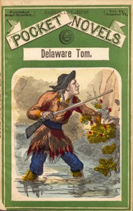 cover for book Delaware Tom; or, The Traitor Guide