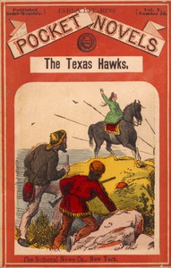 cover for book The Texas Hawks; or, The Strange Decoy