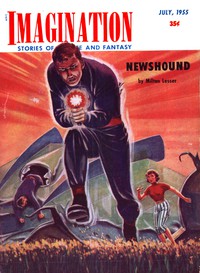 cover for book Newshound