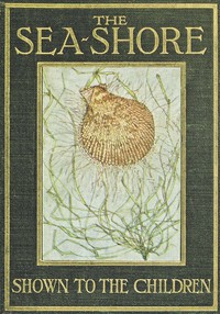 cover for book The Sea-Shore, Shown to the Children