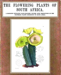 cover for book The Flowering Plants of South Africa; vol. 3