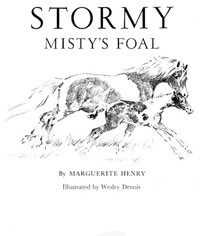 cover for book Stormy, Misty's Foal