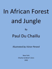 Cover of the book In African forest and jungle by Paul B. (Paul Belloni) Du Chaillu